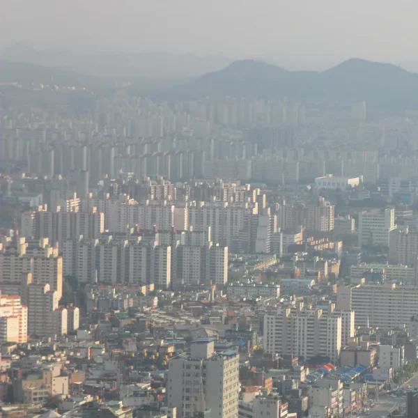 포레스트 보미스튜디오 테라피 안내 이미지