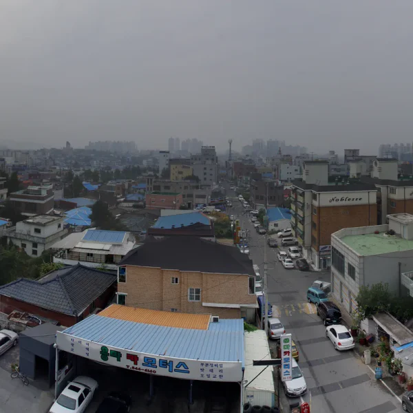모던 유정포레스트 마사지 안내 이미지