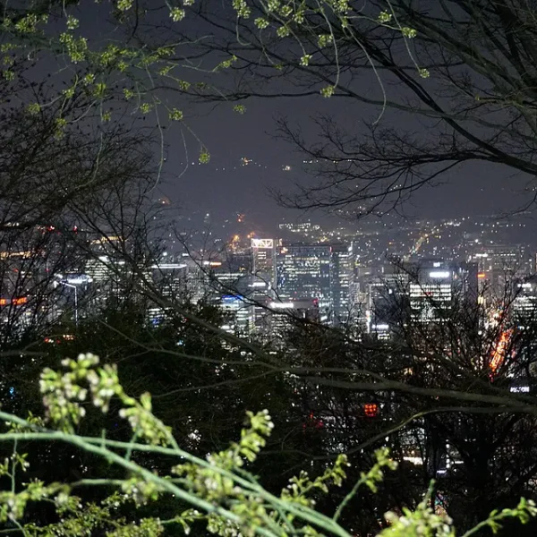 아로마 라비앙웰빙 테라피 안내 이미지