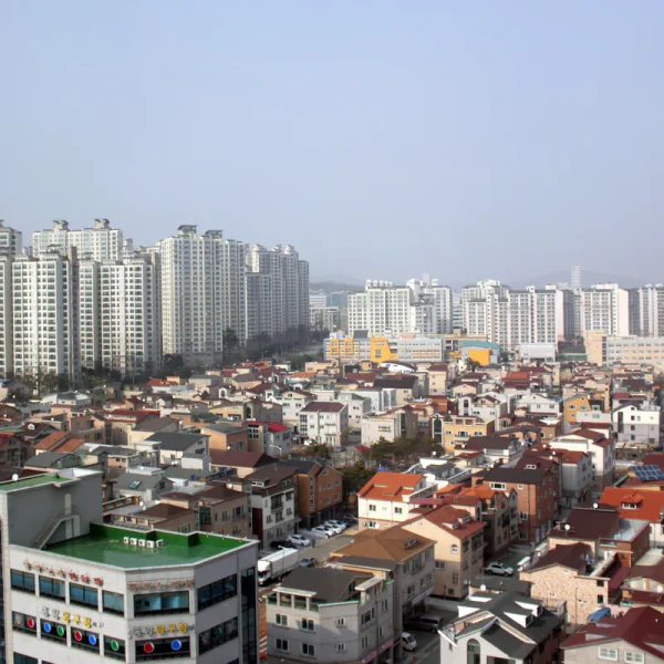 웰니스 베르디웰빙 테라피 안내 이미지