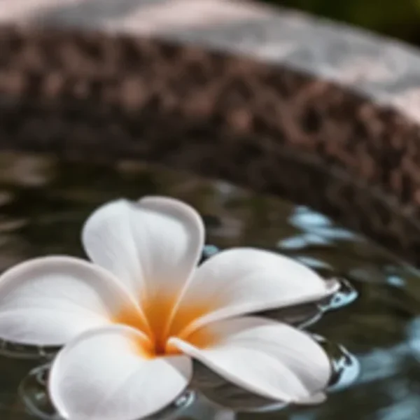 포레스트 지효스튜디오 마사지 안내 이미지